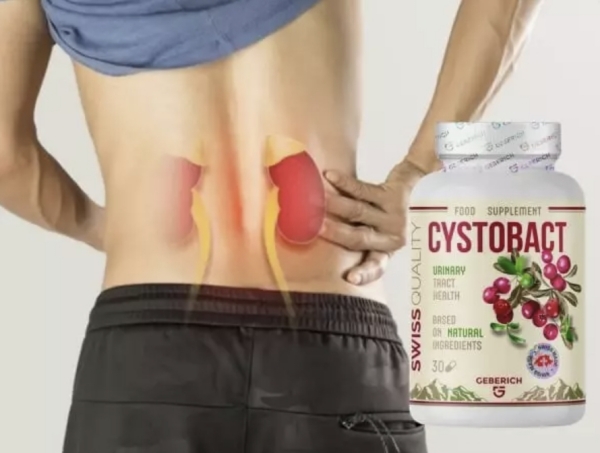 Cystobact Kapselit Suomi - Hinta Kokemuksia Käyttö